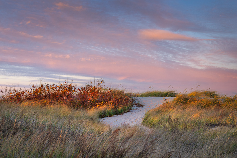 Cape Cod