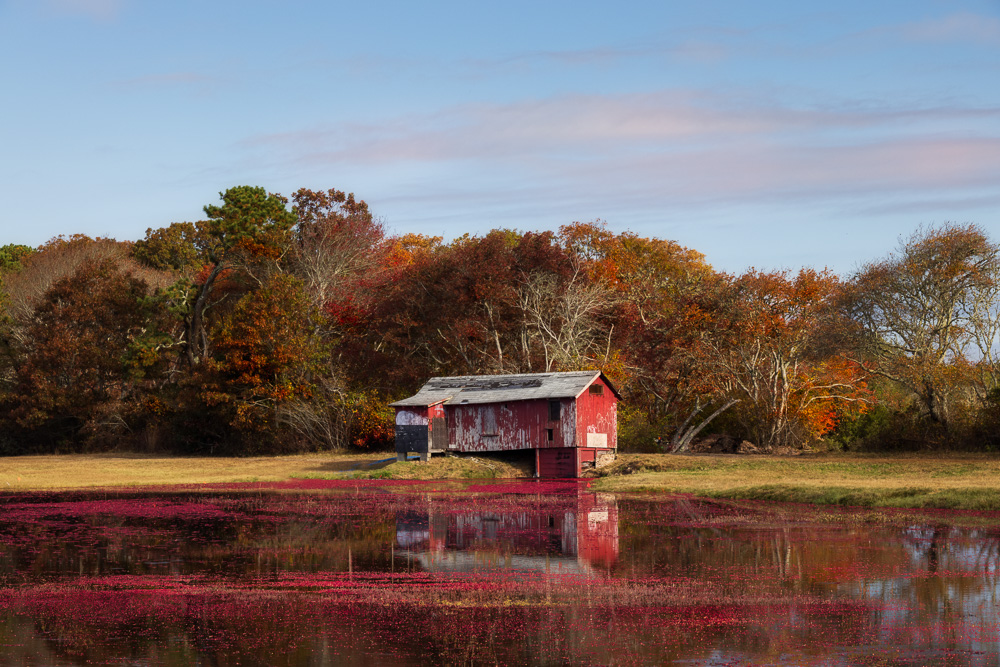Cape Cod