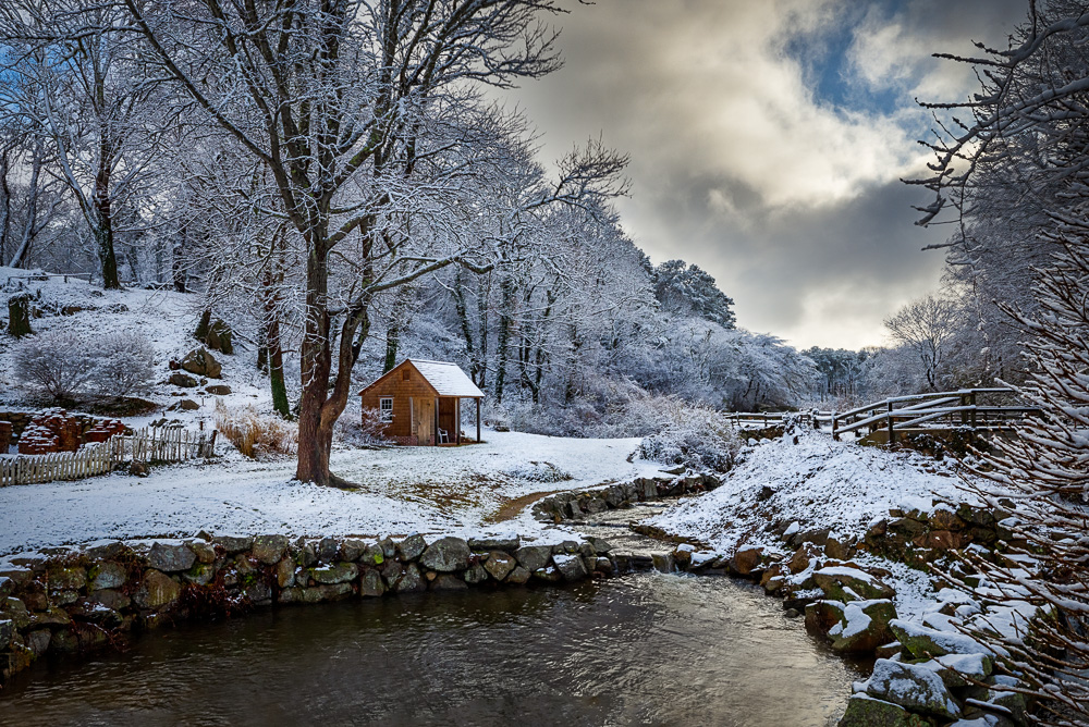holiday winter