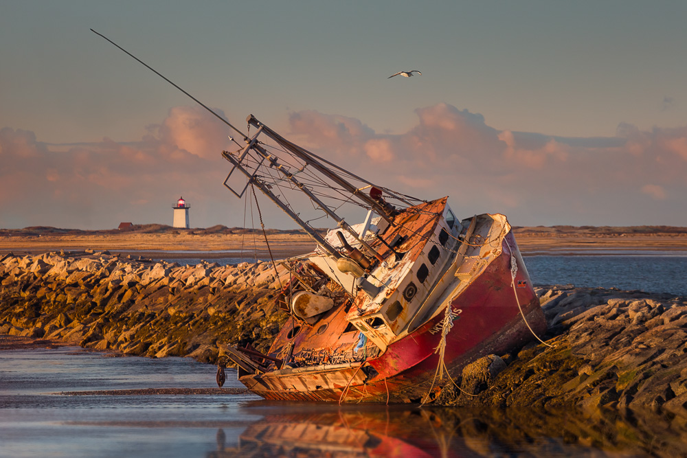 Cape Cod